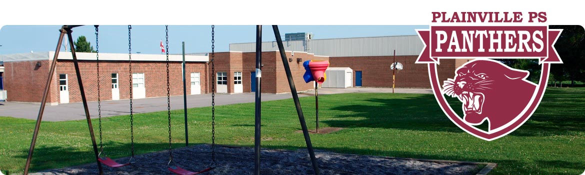 This is a picture of swing set and playground