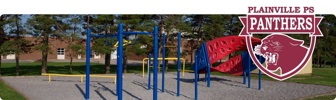 This is a picture of our playground structures.  They are very popular with our students.